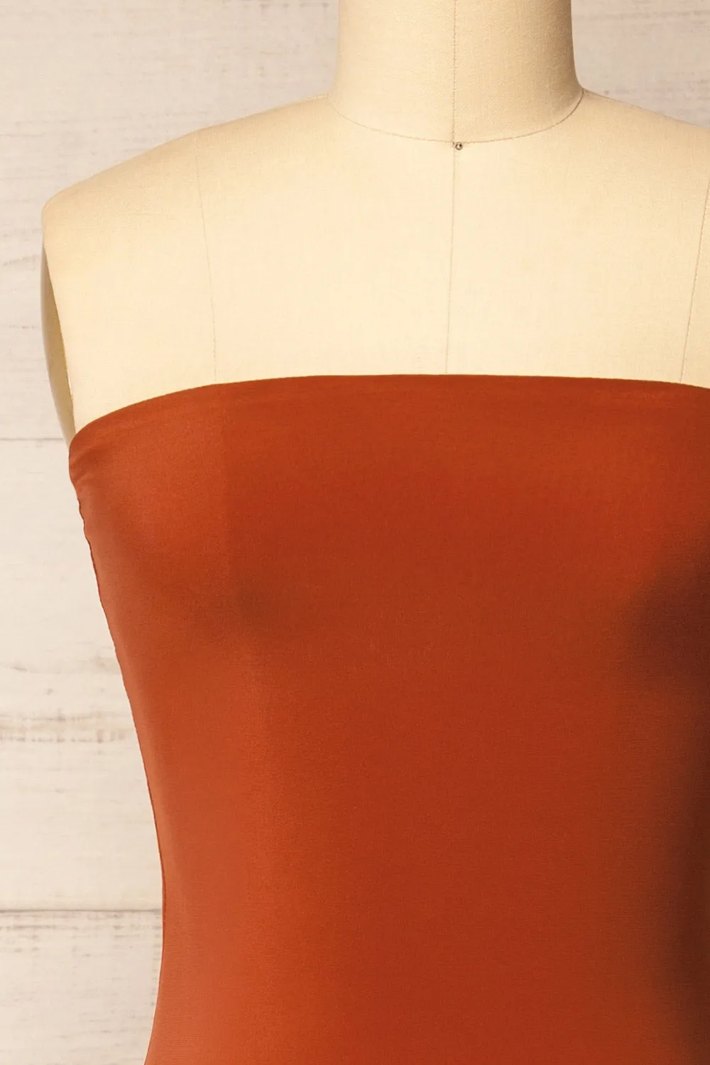 Victorya Rust | Strapless Fitted Midi Dress
